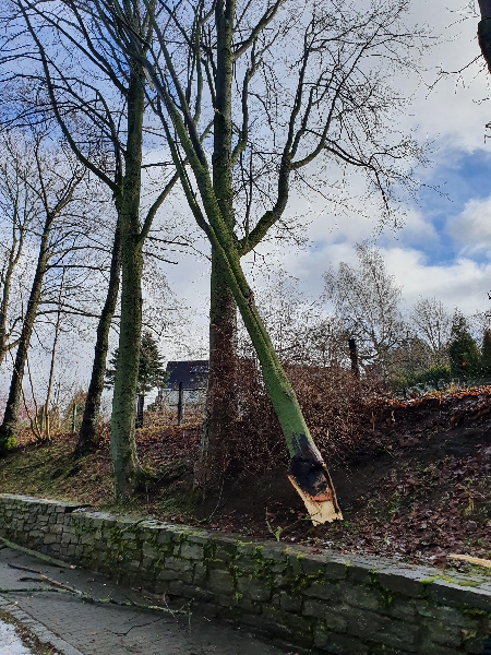 Technische Hilfeleistung Technische Hilfeleistung